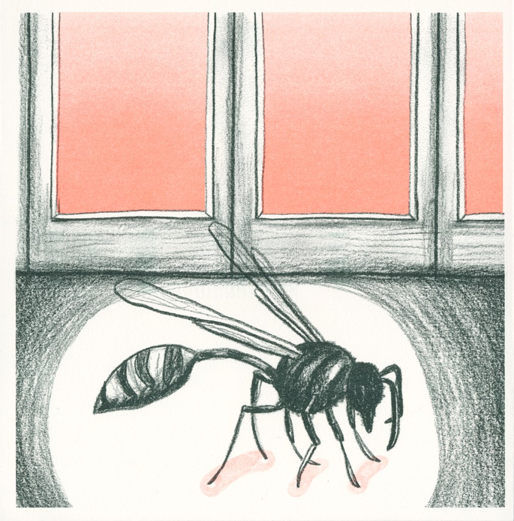  PRODUIRE À L'INFINI - LA DÉCROYANTE n° 10 • Paille