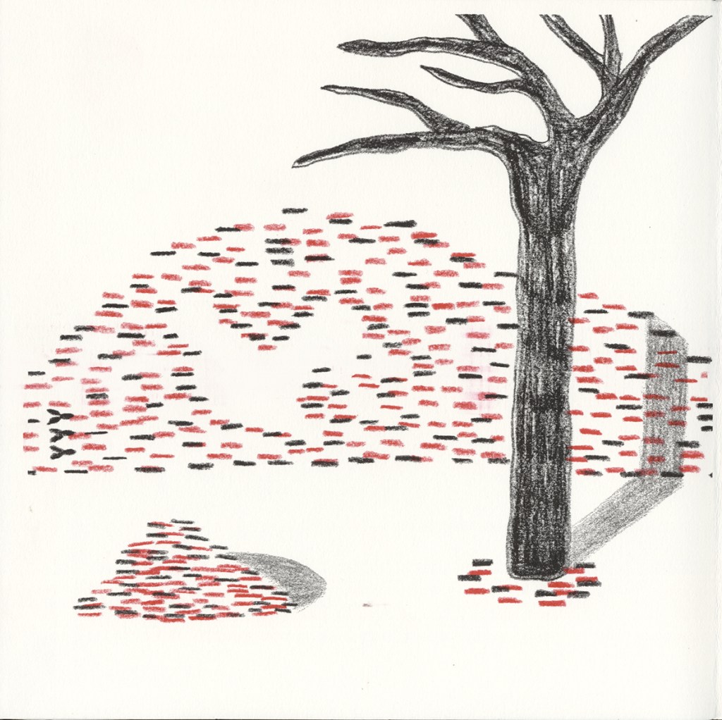 DES AGENTS BIOTIQUES - LA DÉCROYANTE n° 11 • Paille