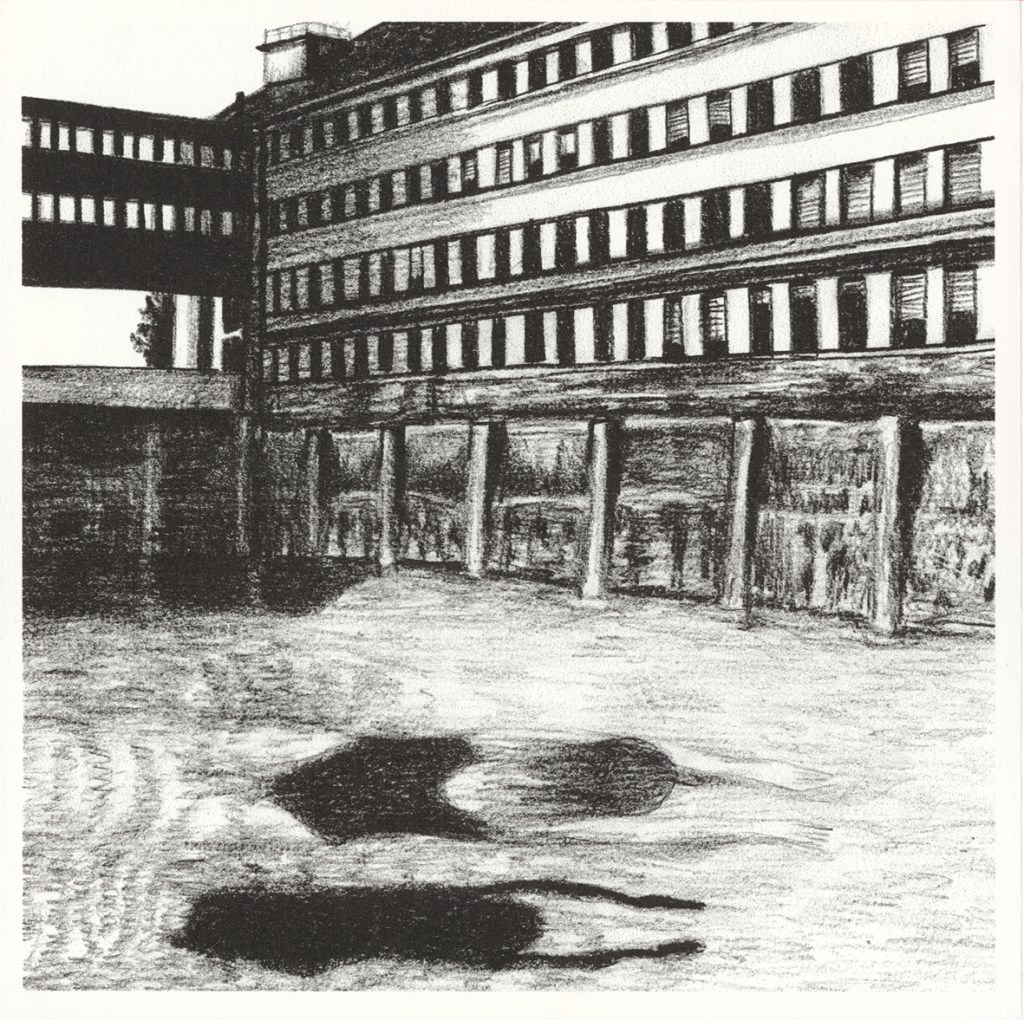 PARCE QUE C'EST COMME ÇA - LA DÉCROYANTE n° 22 • Paille